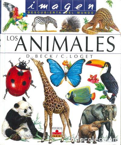 Livres: Los animales- 9782215066040