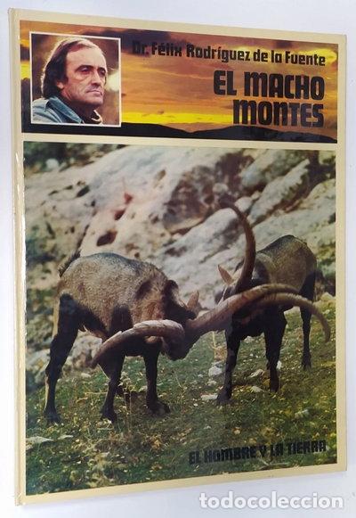 Libros: El Macho Mont&eacute;s- 9788422610953
