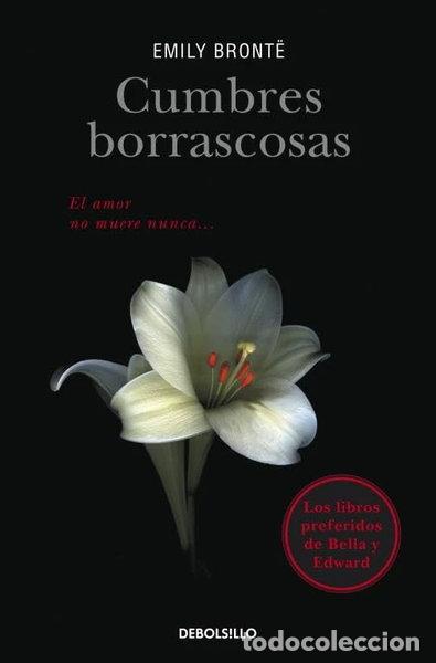 books: Cumbres borrascosas- 9788499089188