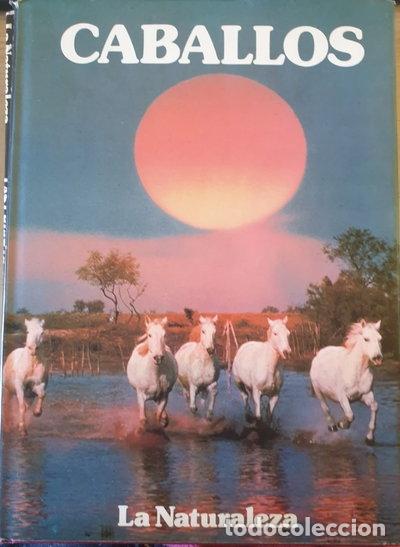 Libri di seconda mano: Caballos- 9788474890150