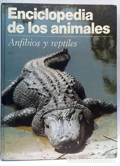 Libros: Enciclopedia de los Animales. Anfibios y reptiles- 9788422635352