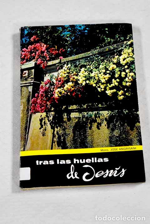 Libri di seconda mano: Tras las huellas de Jesus.- Angrisani, Jose