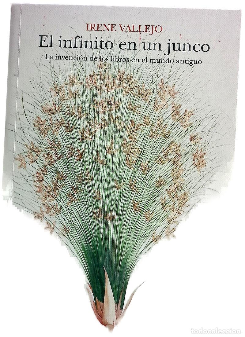 Libros: El infinito en un junco : la invenci&oacute;n de los libros en el mundo antiguo