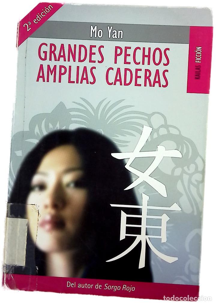 Libros: Grandes pechos, amplias caderas