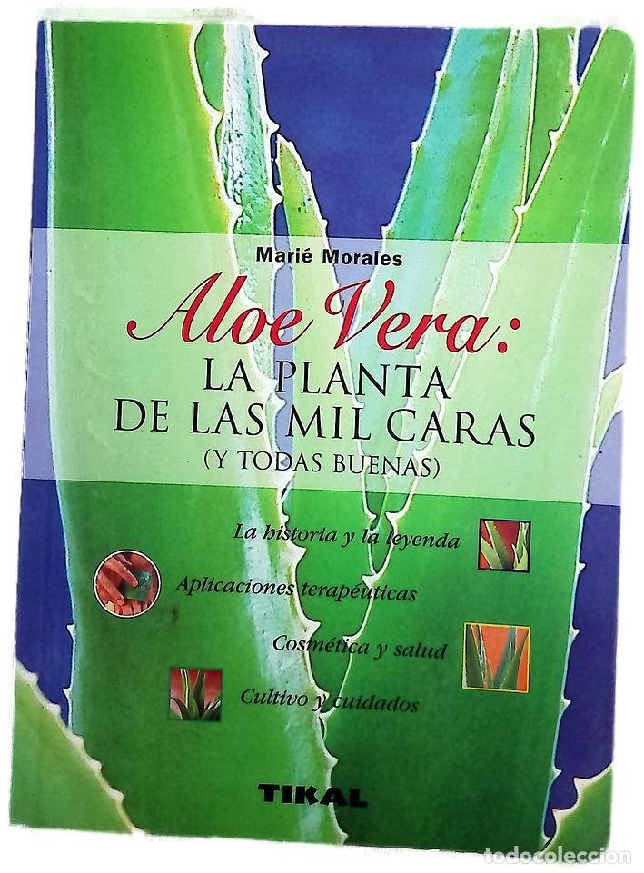 Livros em segunda m&atilde;o: Aloe vera la planta de las mil caras (y todas buenas)