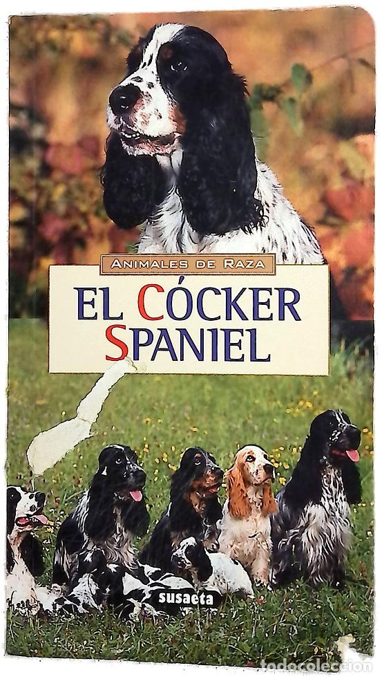 B&uuml;cher: El C&oacute;cker Spaniel - Hubert, Marie-Luce; Klein, Jean-Louis