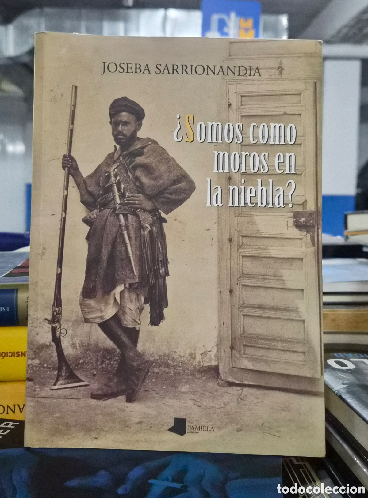 Libros: &iquest;SOMOS COMO MOROS EN LA NIEBLA? JOSEBA SARRIONAINDIA