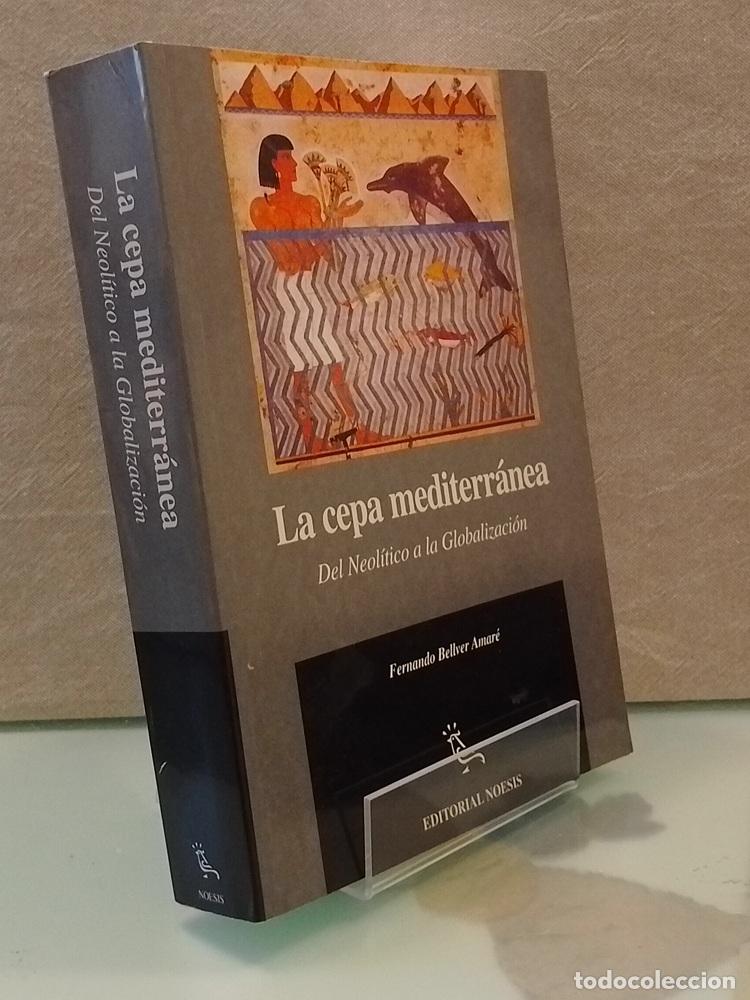 Libros: La cepa mediterr&aacute;nea. Del neol&iacute;tico a la globalizaci&oacute;n - Fernando Bellver Amar&eacute;