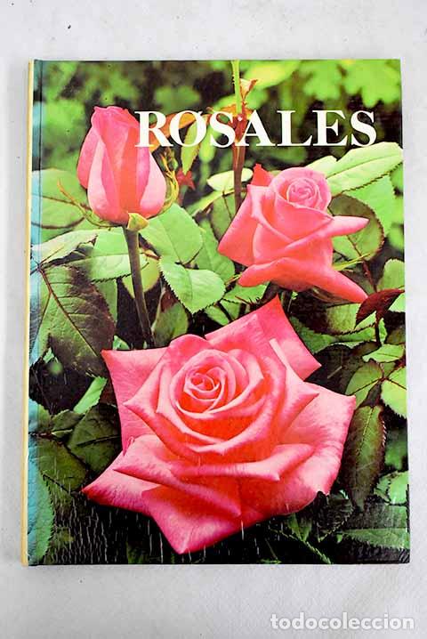Livros em segunda m&atilde;o: Rosales. - Fuchs, Henry. TDK851