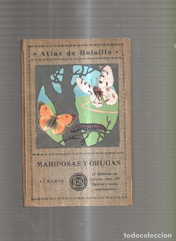 Libros: Atlas de Bolsillo: Mariposas y orugas,1&ordf; parte - Ignacio de Sagarra