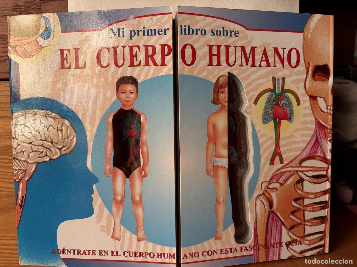 Libri di seconda mano: MI PRIMER LIBRO SOBRE CUERPO HUMANO - AA.VV TDK130
