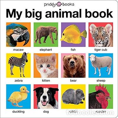 Libros: My Big Animal Book- 9780312511074