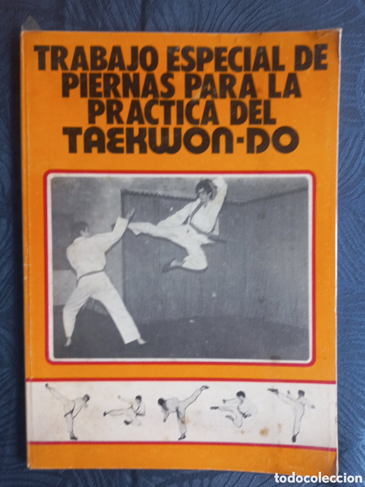 Libros: Trabajo especial de piernas para la pr&aacute;ctica del Taekwon-Do