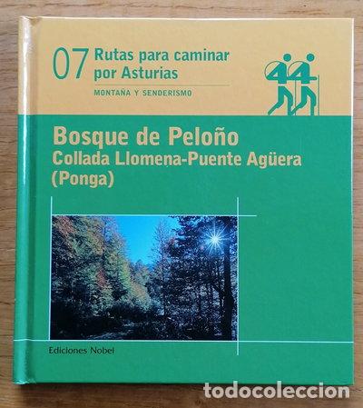 Livros em segunda m&atilde;o: Bosque de Pelo&ntilde;o. Collada Llomena-Puente Aguera (Ponga)- 9788484593249