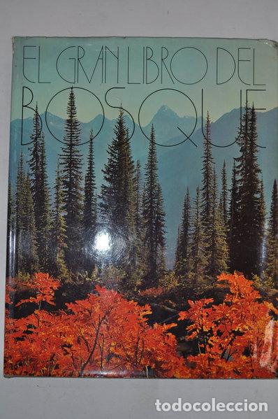 Libros: El gran libro del bosque- 9788470312045