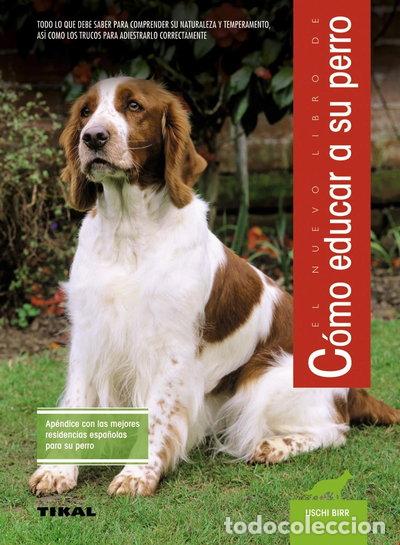 Libri di seconda mano: C&oacute;mo educar a su perro- 9788430587322