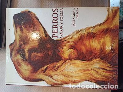 Libros: Perros, color y forma- 9788423991990