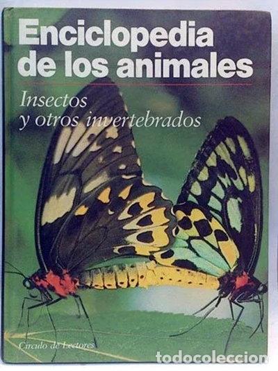 Libros: Enciclopedia de los Animales. Insectos y Otros Invertebrados- 9788422635376