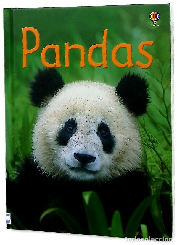 Libros: Pandas - James Maclaine - Usborne Publishing, Limited