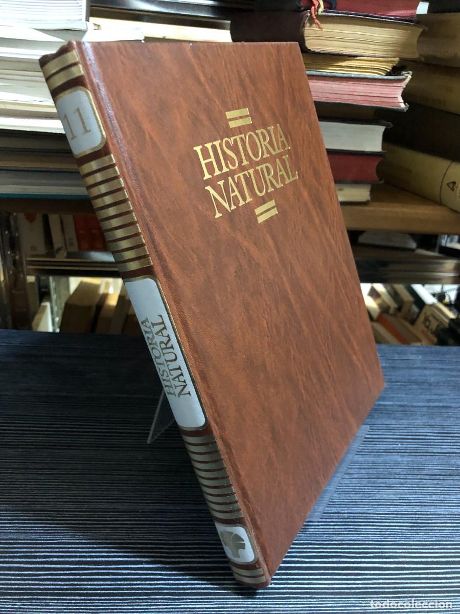 Libros: Historia Natural (Tomo 11)
