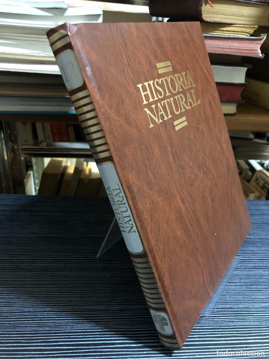 Libros: Historia Natural (Volumen 12: Seres Humanos)