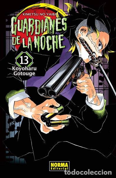 Libros: Guardianes de la noche 13- 9788467929881