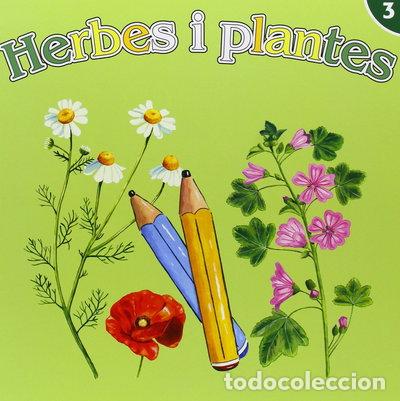 Libri di seconda mano: Herbes i plantes- 9788499792170