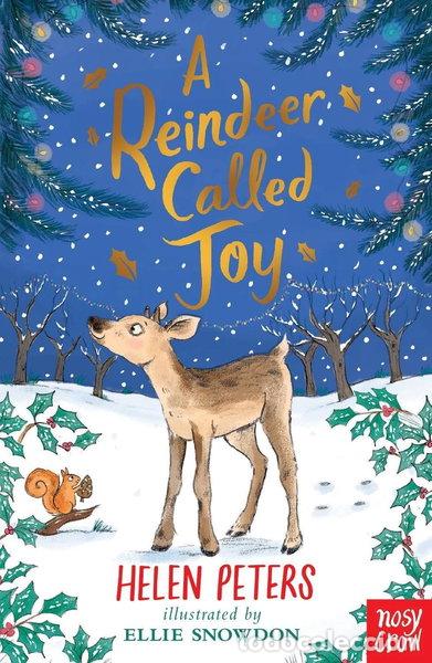 Livros em segunda m&atilde;o: A Reindeer Called Joy- 9781839948749