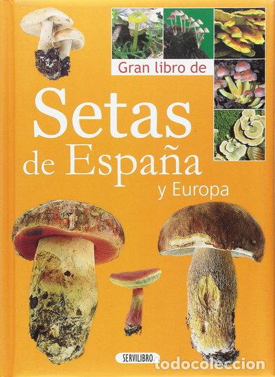 Libri di seconda mano: Setas de Espa&ntilde;a y Europa- 9788479715496