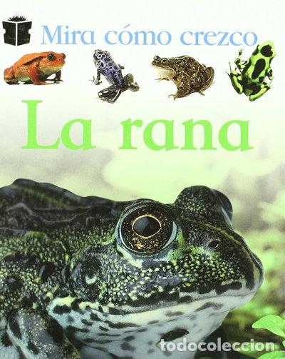 Libros: La Rana- 9788423668854