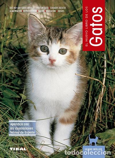 Livres: Gatos- 9788430592661