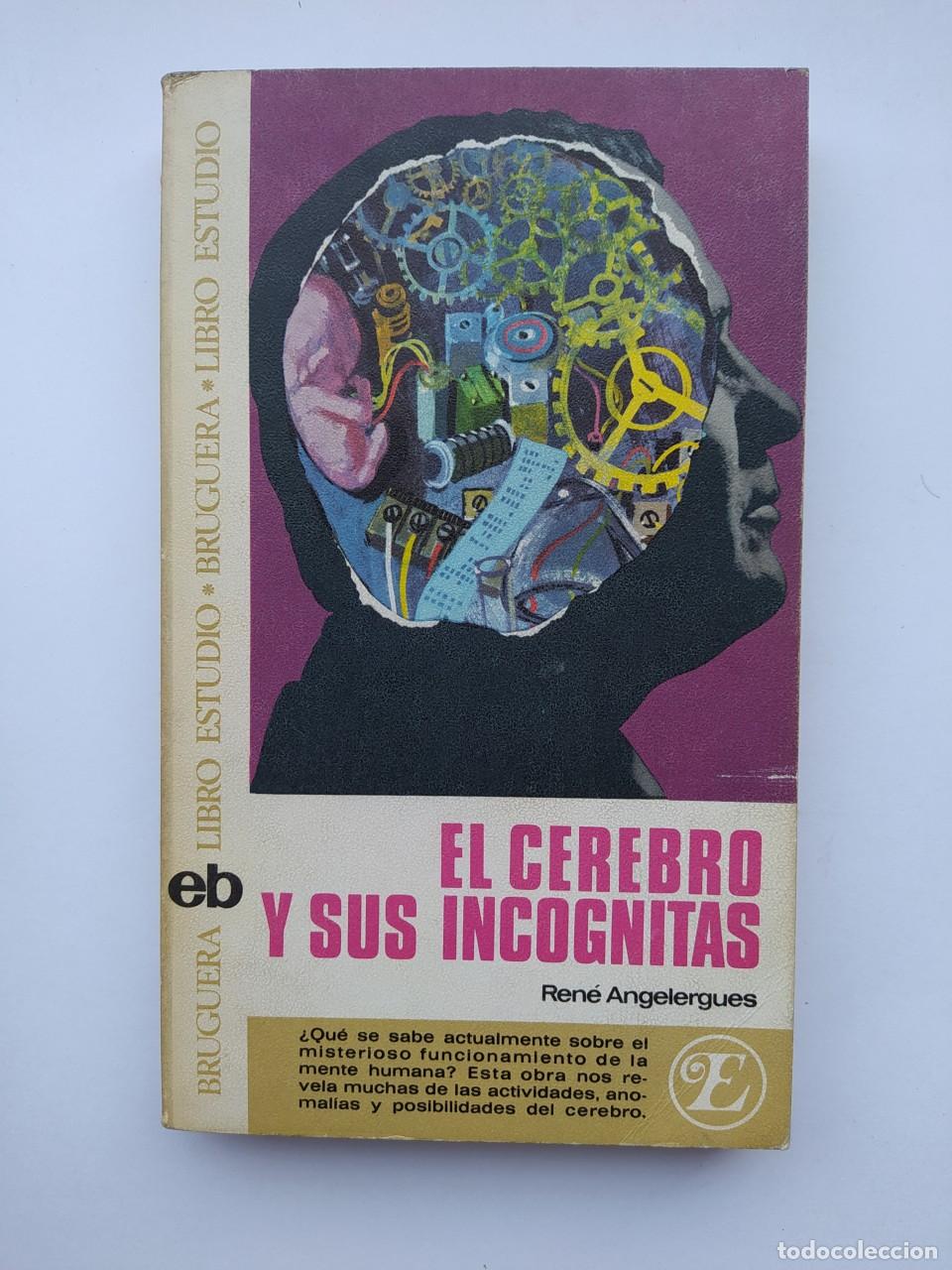 books: EL CEREBRO Y SUS INCOGNITAS. BRUGUERA LIBRO ESTUDIO. - RENE ANGELERGUES. TDK176