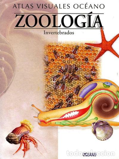 Libros: Zoolog&iacute;a: Invertebrados- 9788449412882