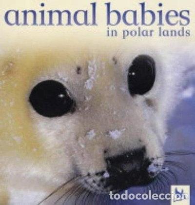 Libros: Animal Babies in Polar Lands- 9780753409411