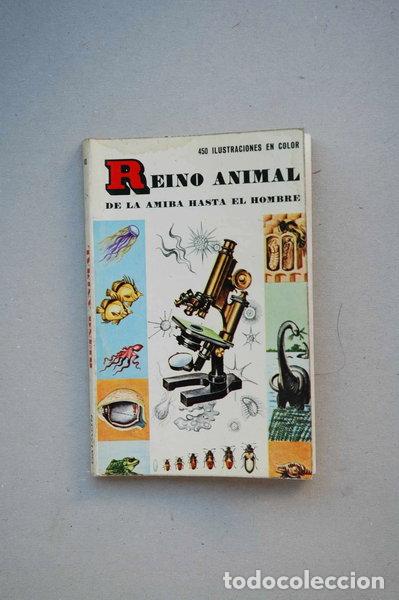 Libri di seconda mano: Reino mineral- 9788423101023