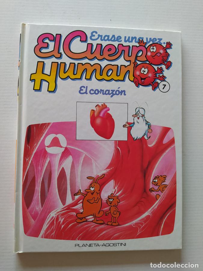 Libri di seconda mano: &Eacute;RASE UNA VEZ EL CUERPO HUMANO. N&ordm; 7. EL CORAZ&Oacute;N. PLANETA DE AGOSTINI. - VV.AA. TDK689