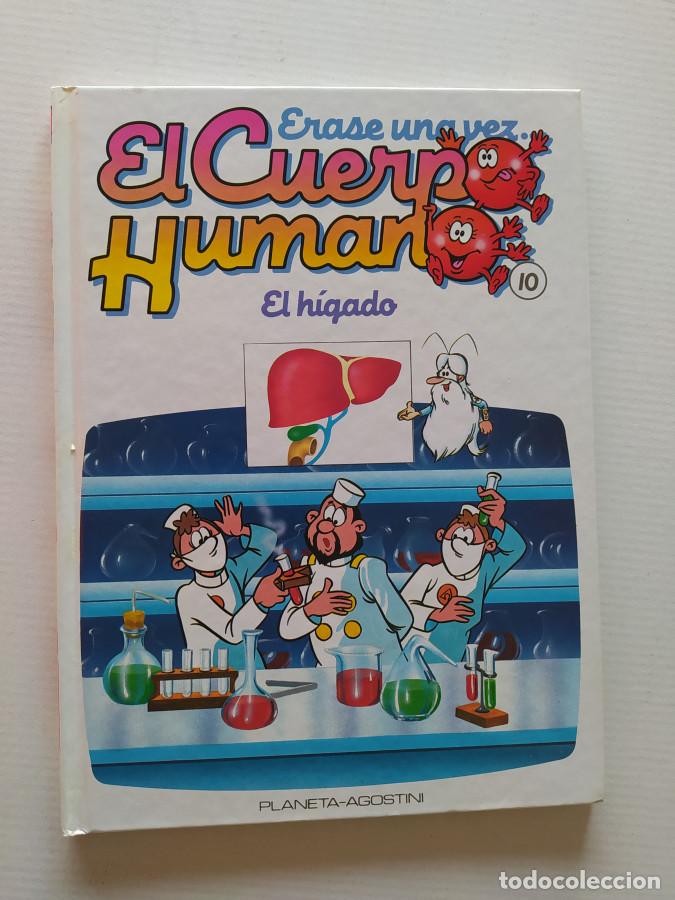 Libri di seconda mano: &Eacute;RASE UNA VEZ EL CUERPO HUMANO. N&ordm; 10. EL H&Iacute;GADO. PLANETA DE AGOSTINI. - VV.AA. TDK689