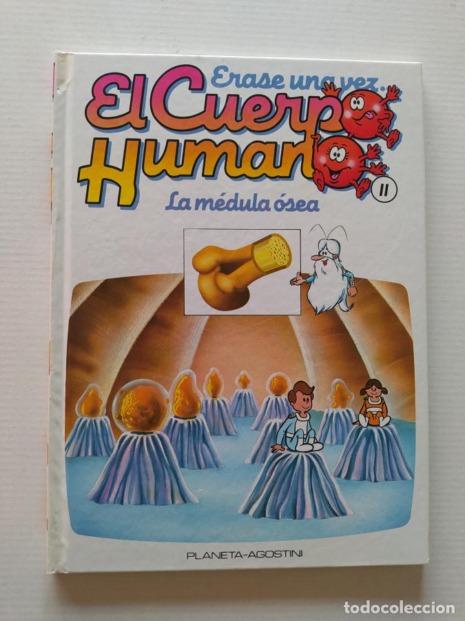 Libri di seconda mano: &Eacute;RASE UNA VEZ EL CUERPO HUMANO. N&ordm; 11 LA M&Eacute;DULA &Oacute;SEA. PLANETA DE AGOSTINI. - VV.AA. TDK689