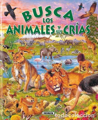 Livres: Busca los animales y sus cr&iacute;as- 9788430546800