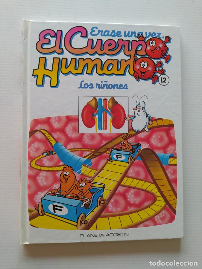 Libri di seconda mano: &Eacute;RASE UNA VEZ EL CUERPO HUMANO. N&ordm; 12. LOS RI&Ntilde;ONES. PLANETA DE AGOSTINI. - VV.AA. TDK689