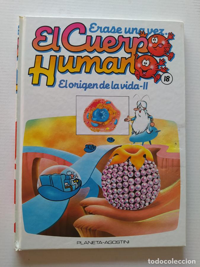 books: &Eacute;RASE UNA VEZ EL CUERPO HUMANO N&ordm; 18. EL ORIGEN DE LA VIDA II. PLANETA DE AGOSTINI. - VV.AA. TDK689