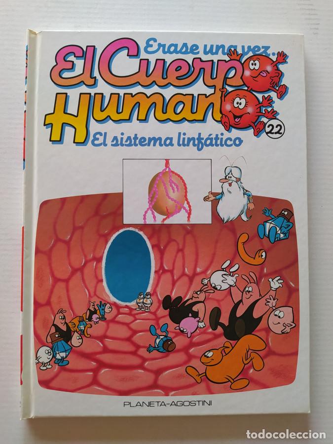 B&uuml;cher: &Eacute;RASE UNA VEZ EL CUERPO HUMANO N&ordm; 22. EL SISTEMA LINF&Aacute;TICO. PLANETA DE AGOSTINI. - VV.AA. TDK689
