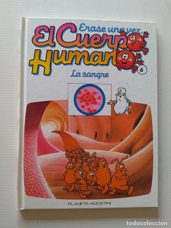 books: &Eacute;RASE UNA VEZ EL CUERPO HUMANO N&ordm; 6. LA SANGRE. PLANETA DE AGOSTINI. - VV.AA. TDK689