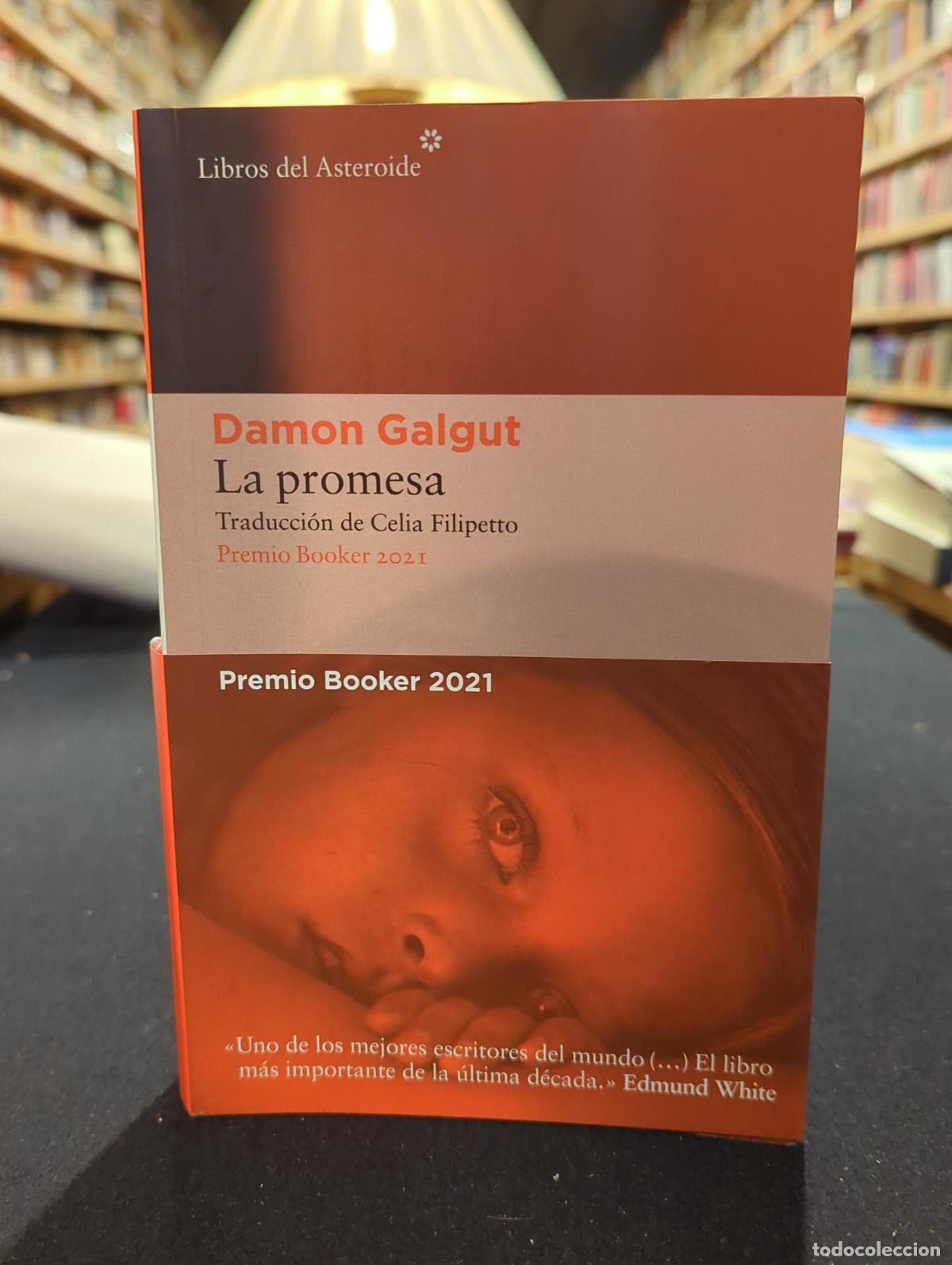La promesa - Damon Galgut