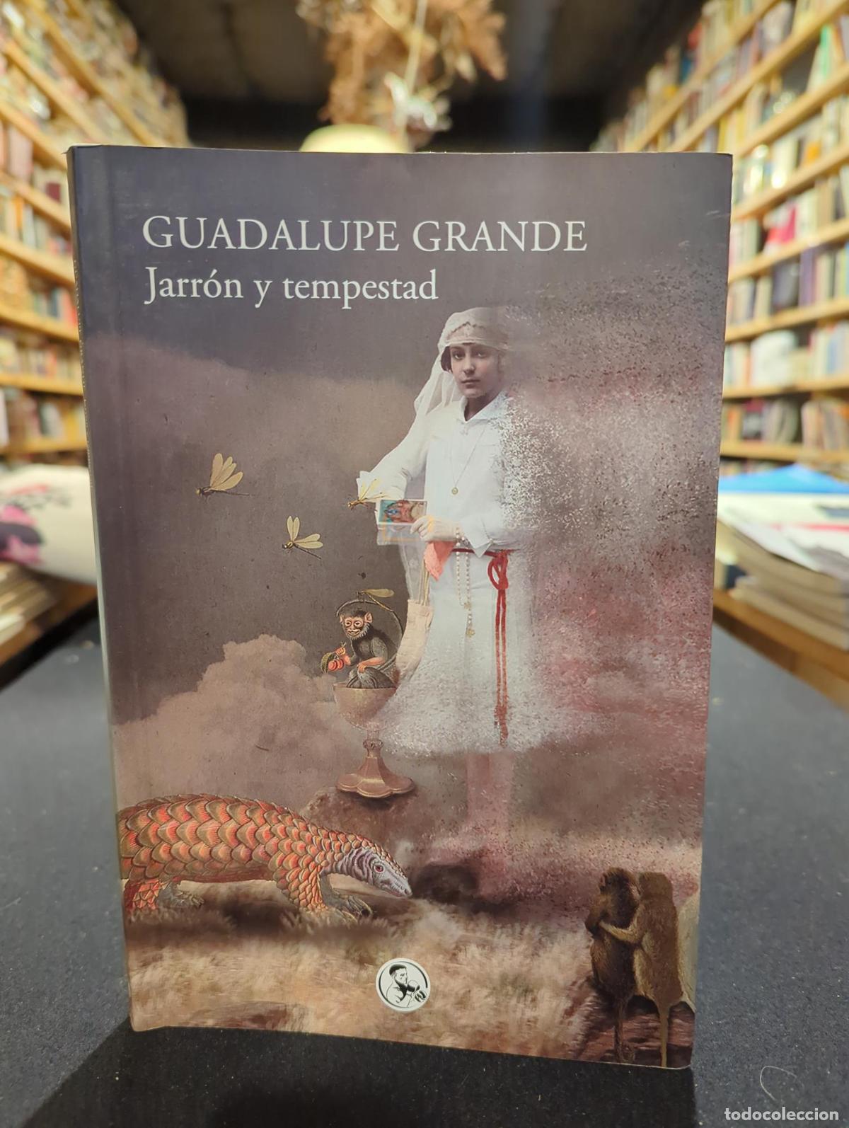 Jarr&oacute;n y tempestad - Guadalupe Grande