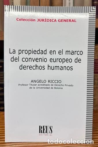Libros: LA PROPIEDAD EN EL MARCO DEL CONVENIO EUROPEO DE DERECHOS HUMANOS - RICCIO, Angelo