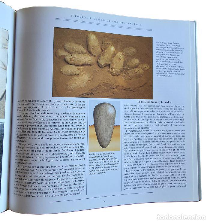 Libros: TRAS LAS HUELLAS DE LOS DINOSAURIOS - M.J. Benton - Foto 2