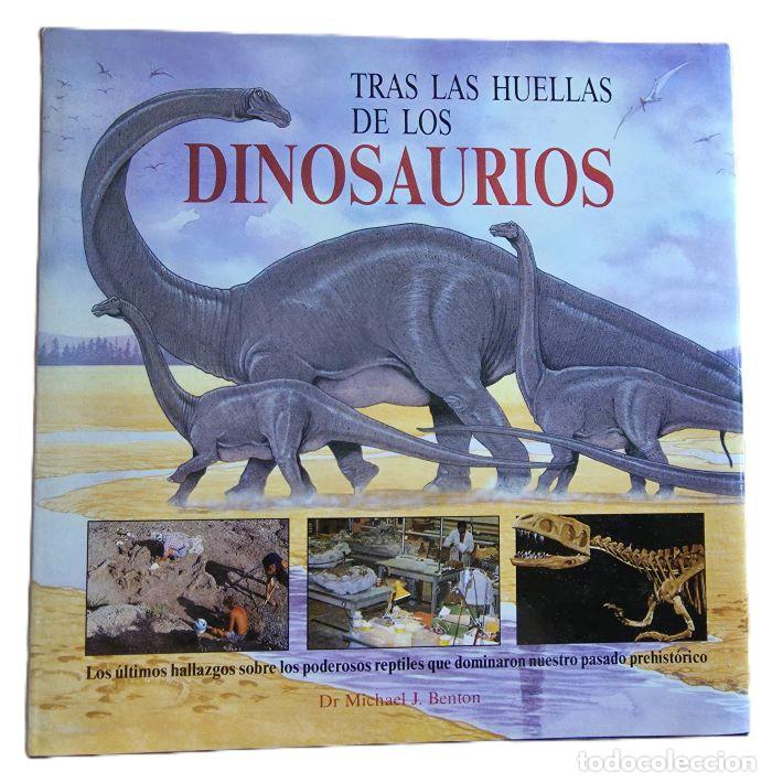 Livres: TRAS LAS HUELLAS DE LOS DINOSAURIOS - M.J. Benton