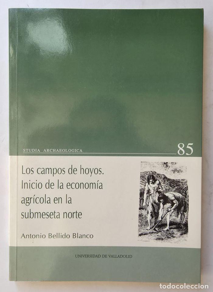 Libri di seconda mano: LOS CAMPOS DE HOYOS. INICIO DE LA ECONOM&Iacute;A AGR&Iacute;COLA EN LA SUBMESETA NORTE - Antonio Bellido Blanco