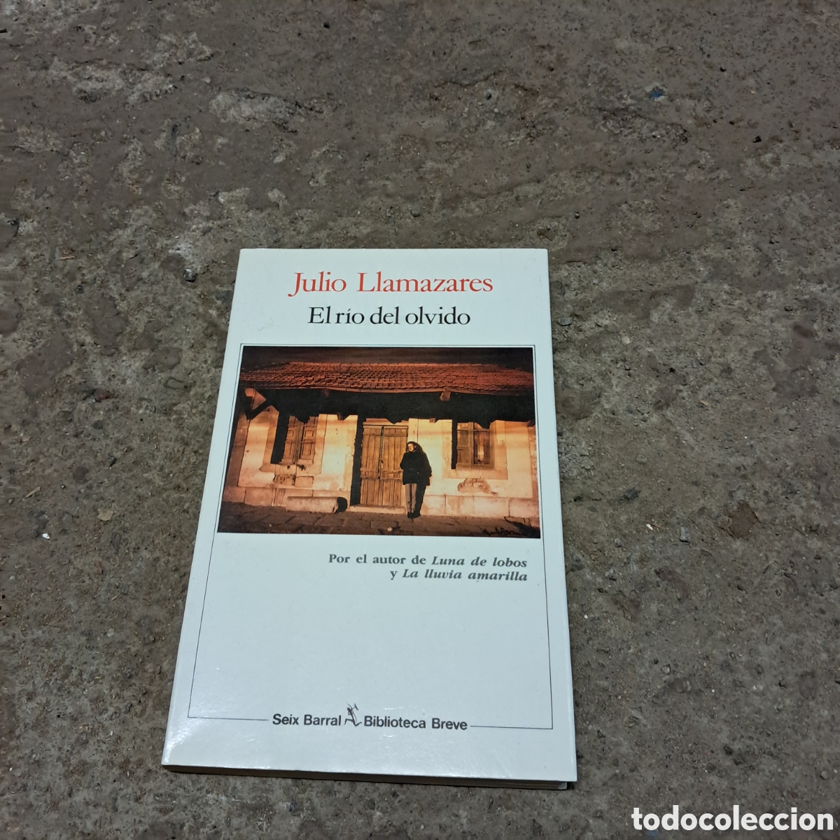 Libros: Julio Llamazares, El r&iacute;o del olvido, Seix Barral